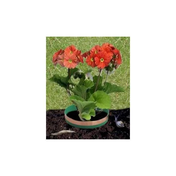 Anti-slakkenringen Met Kopertape 4 Anti-slakkenringen Met Kopertape - Afbeelding 2