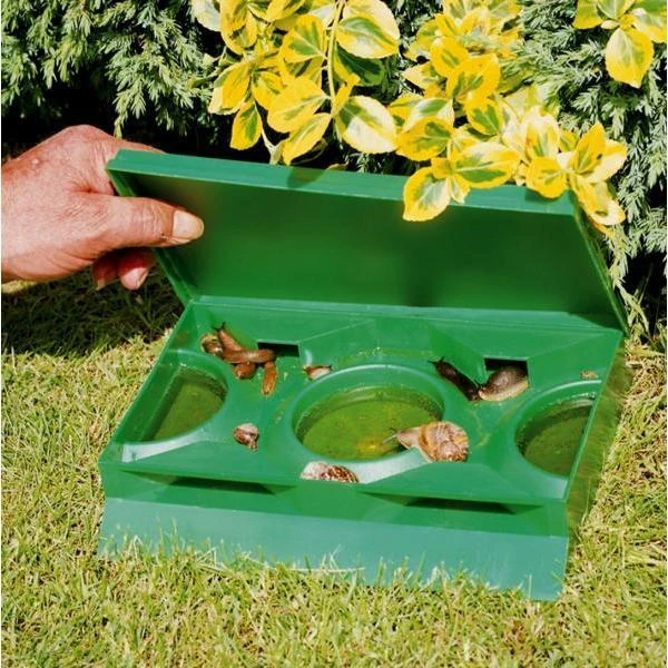 Slakkenval Groot 3 Slakkenval Groot