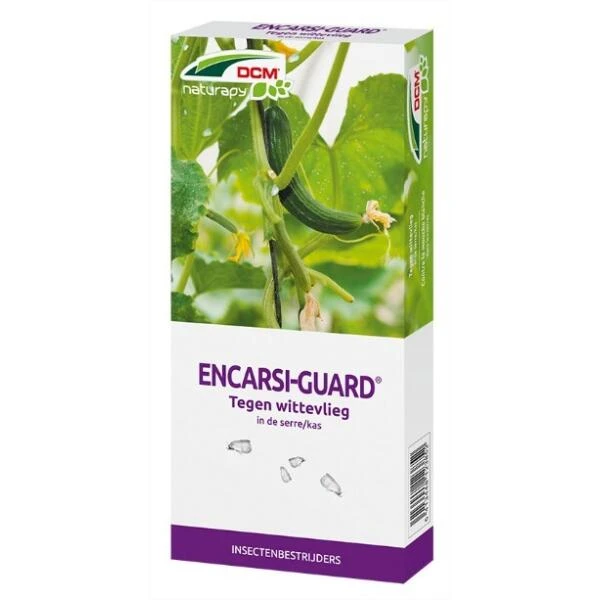 DCM Encarsi-Guard - Sluipwespen Tegen Wittevlieg In De Serre/kas 3 DCM Encarsi-Guard - Sluipwespen Tegen Wittevlieg In De Serre/kas
