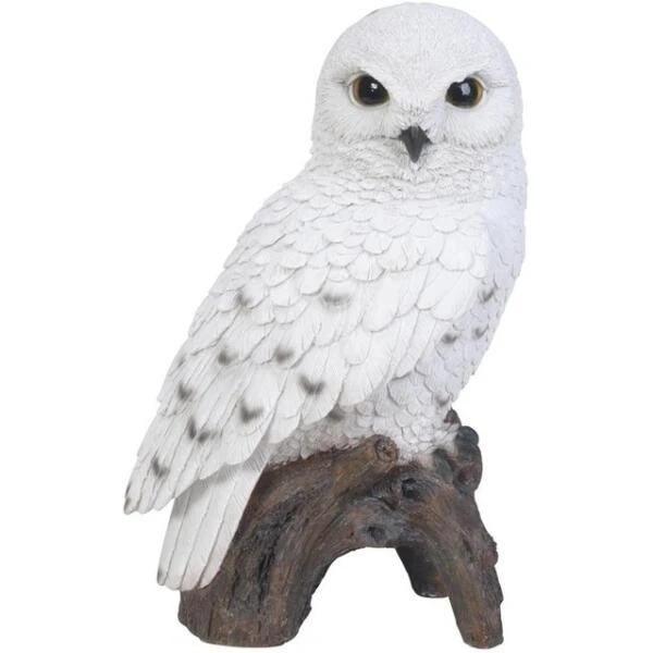 Sneeuwuil Op Stam 3 Sneeuwuil Op Stam