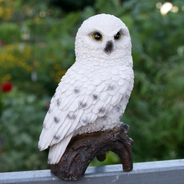 Sneeuwuil Op Stam 4 Sneeuwuil Op Stam - Afbeelding 2