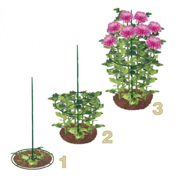 Steunringen Voor Planten Ø 30 Cm - Kunststof - Set Van 2 Stuks 3 Steunringen Voor Planten Ø 30 Cm - Kunststof - Set Van 2 Stuks