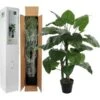 Kunstplant Taro 120 Cm -Tuingereedschap Winkel taro in pot 70 x 120 cm 1539337029 1 600