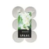Theelicht Maxi Jasmijn - 10 Uren - Set Van 12 Stuks 2 Theelicht Maxi Jasmijn - 10 Uren - Set Van 12 Stuks -Tuingereedschap Winkel theelicht maxi jasmijn 1517926663 1 600