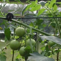 Tree-fix Boombinder 8 Cm - Set Van 50 Stuks -Tuingereedschap Winkel treefix boombinder 8 cm 1547125995 3 600