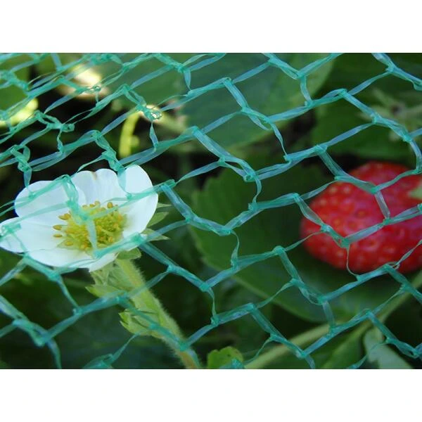 Tuinnet Fijnmazig - Licht 5 M × 5 Meter 3 Tuinnet Fijnmazig - Licht 5 M × 5 Meter