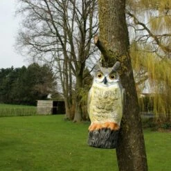 Uil Front - Vogelverschrikker -Tuingereedschap Winkel uil front vogelverschrikker 1523282297 1 600