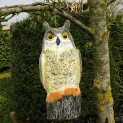Uil Front - Vogelverschrikker -Tuingereedschap Winkel uil front vogelverschrikker 1523282297 2 600