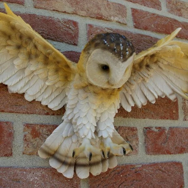 Uil Met Open Vleugels Muurdecoratie 5 Uil Met Open Vleugels Muurdecoratie - Afbeelding 3