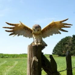 Uil Met Open Vleugels Muurdecoratie 11 Uil Met Open Vleugels Muurdecoratie -Tuingereedschap Winkel uil met open vleugels muurdecoratie 1530794713 2 600
