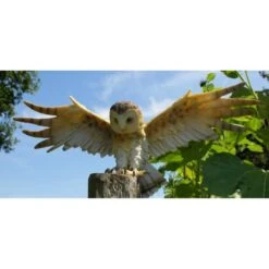 Uil Met Open Vleugels Muurdecoratie 12 Uil Met Open Vleugels Muurdecoratie -Tuingereedschap Winkel uil met open vleugels muurdecoratie 1530794713 3 600