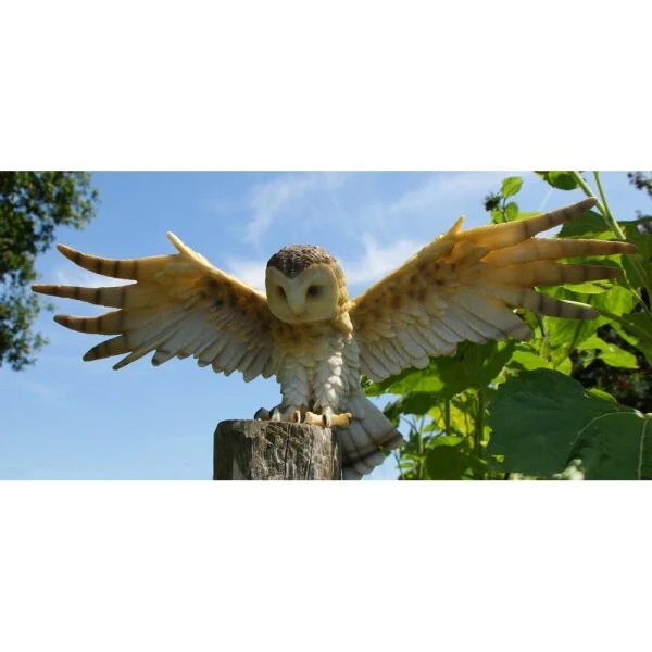 Uil Met Open Vleugels Muurdecoratie 7 Uil Met Open Vleugels Muurdecoratie - Afbeelding 5