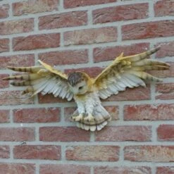 Uil Met Open Vleugels Muurdecoratie 13 Uil Met Open Vleugels Muurdecoratie -Tuingereedschap Winkel uil met open vleugels muurdecoratie 1530794750 1 600