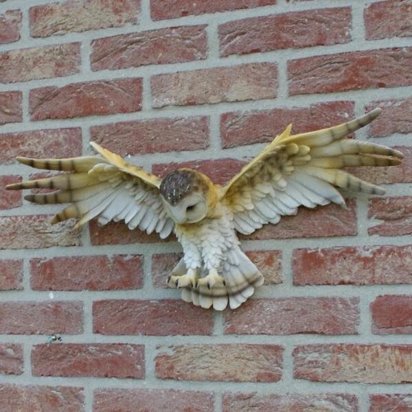 Uil Met Open Vleugels Muurdecoratie 8 Uil Met Open Vleugels Muurdecoratie - Afbeelding 6