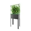 Verhoogd Kweekbak City Jungle Heidelberg Met Klimframe -Tuingereedschap Winkel verhoogd plantenbed city jungle heidelberg 1677506551 1 600