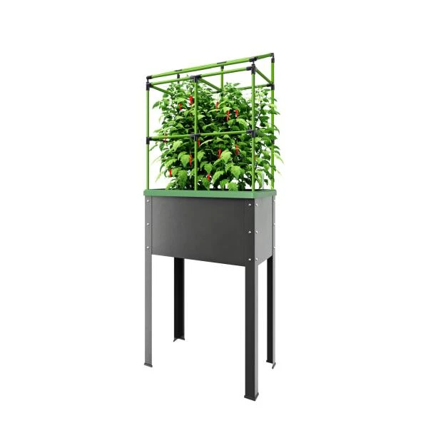 Verhoogd Kweekbak City Jungle Heidelberg Met Klimframe 3 Verhoogd Kweekbak City Jungle Heidelberg Met Klimframe
