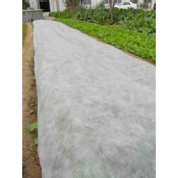 Rol Vliesdoek 2 × 100 M - 19 G/m² 3 Rol Vliesdoek 2 × 100 M - 19 G/m²