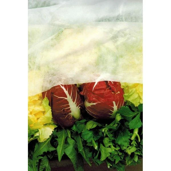 Vliesdoek - 10 × 2,4 M - 17 G/m² 3 Vliesdoek - 10 × 2,4 M - 17 G/m²