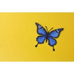 Vlinder Muurdecoratie - Metaal 30 × 25 Cm 11 Vlinder Muurdecoratie - Metaal 30 × 25 Cm -Tuingereedschap Winkel vlinder metaal 30 x 25 cm 1621335409 1 600