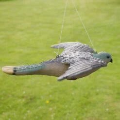 Torenvalk Als Vogelschrik -Tuingereedschap Winkel vogelverjager torenvalk 1492582163 3 600