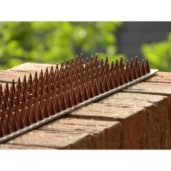 Afweerpinnen Strip Vogels, Katten,... - Bruin 7 Afweerpinnen Strip Vogels, Katten,... - Bruin -Tuingereedschap Winkel vogelwering met afweerpinnen 50 cm 1484056943 3 600