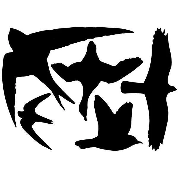 ESSCHERT DESIGN Vogelwering Stickervel Met 5 Vogelsilhouetten 3 ESSCHERT DESIGN Vogelwering Stickervel Met 5 Vogelsilhouetten