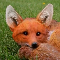 Vos Liggend 7 Vos Liggend -Tuingereedschap Winkel vos liggend 1569416943 2 600