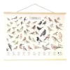 Wanddoek Tuinvogels 2 Wanddoek Tuinvogels -Tuingereedschap Winkel wandkaart tuinvogels 1541511363 1 600