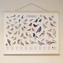 Wanddoek Tuinvogels 7 Wanddoek Tuinvogels -Tuingereedschap Winkel wandkaart tuinvogels 1541600712 1 600