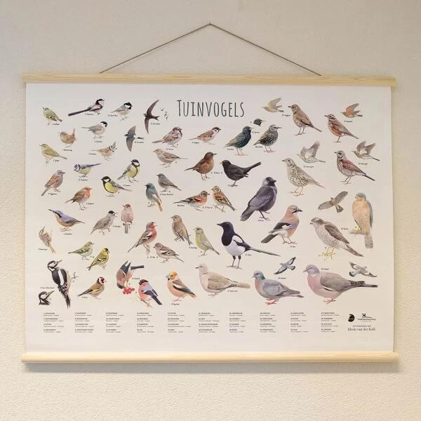 Wanddoek Tuinvogels 5 Wanddoek Tuinvogels - Afbeelding 3
