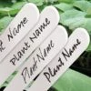 Waterbestendige Stift Zwart Voor Plantenlabels 1 Waterbestendige Stift Zwart Voor Plantenlabels -Tuingereedschap Winkel waterbestendige stift zwart 1484062288 2 600