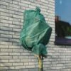 Rozen Winterhoezen - Groen - Set Van 2 Stuks -Tuingereedschap Winkel winterhoes rozen groen 1484054071 1 600
