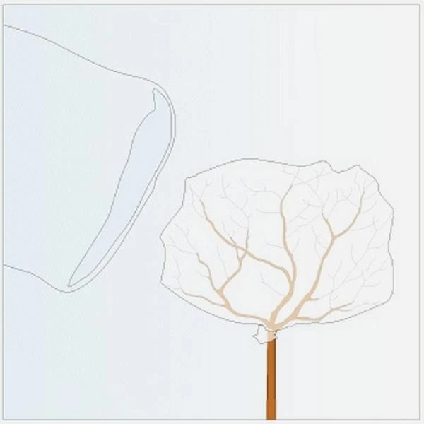 Rozen Winterhoezen - Groen - Set Van 2 Stuks 4 Rozen Winterhoezen - Groen - Set Van 2 Stuks - Afbeelding 2