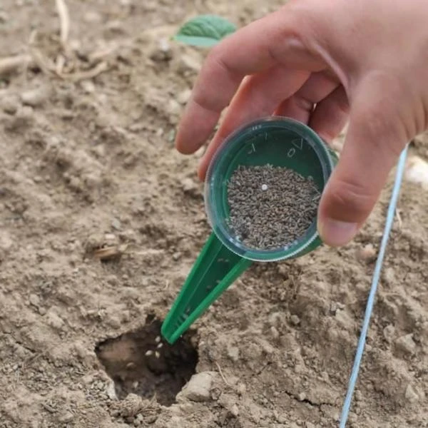 Zaaidoosje 5 Zaaidoosje - Afbeelding 3