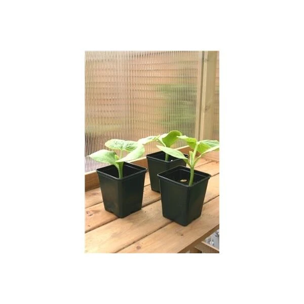 Vierkante Kweekpot - 9 × 9 × 10 Cm - Set Van 18 Stuks 3 Vierkante Kweekpot - 9 × 9 × 10 Cm - Set Van 18 Stuks